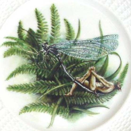 Porzellanteller | Pan mit Libelle - Pans versunkener Garten