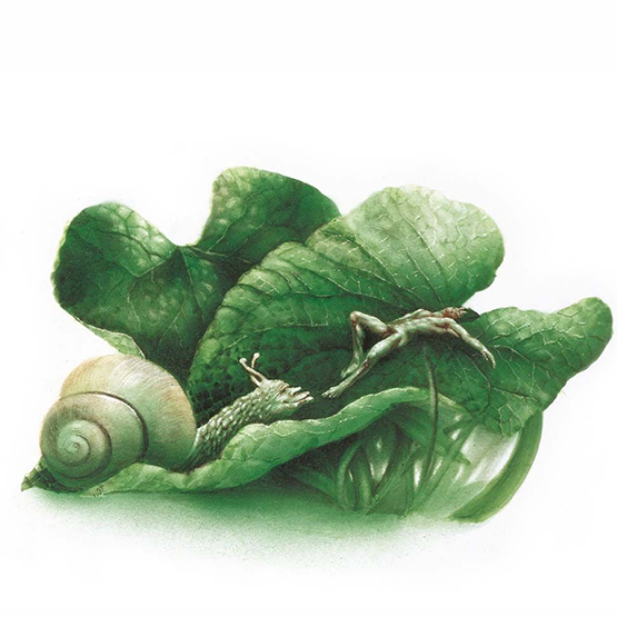Porzellankanne | Pans versunkener Garten